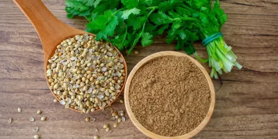 9_Cilantro