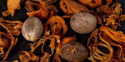 Nutmeg-Explainer-3-FT-BLOG1222-70c43e3feb1c458cb1ea88a41bdcc2f4