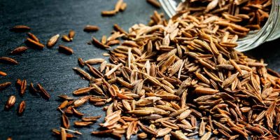 Step-by-Step-Guide-to-Cumin-Jeera-Farming-1