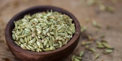 Fennel (Saunf)