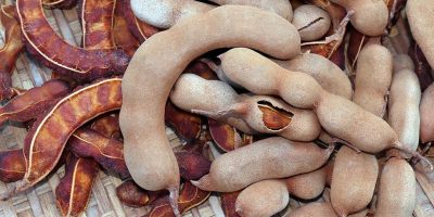 tamarind-peel-shutterstock_1139167793